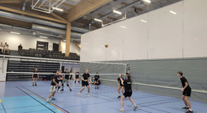 Fleire elevar spelar volleyball.