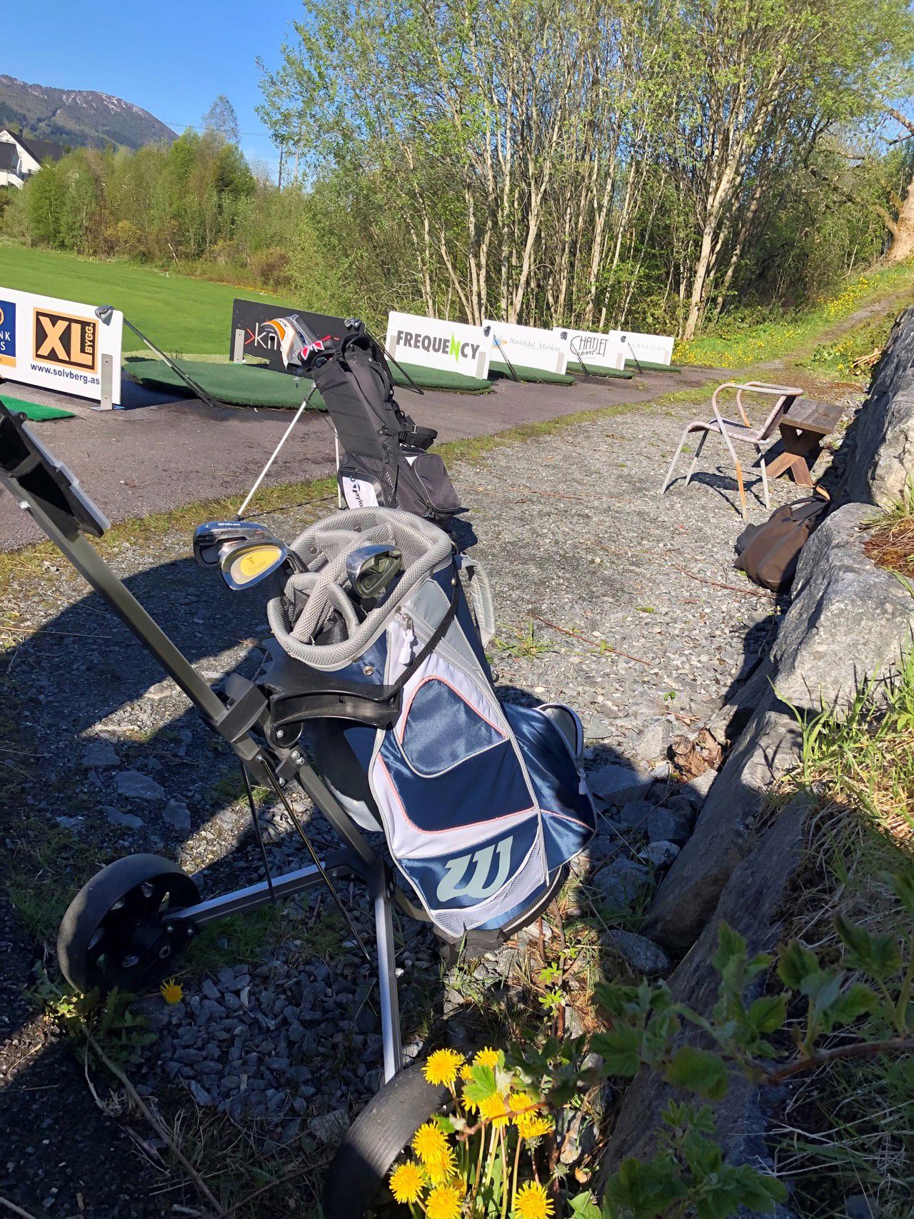 Bilete av golfbaggar.