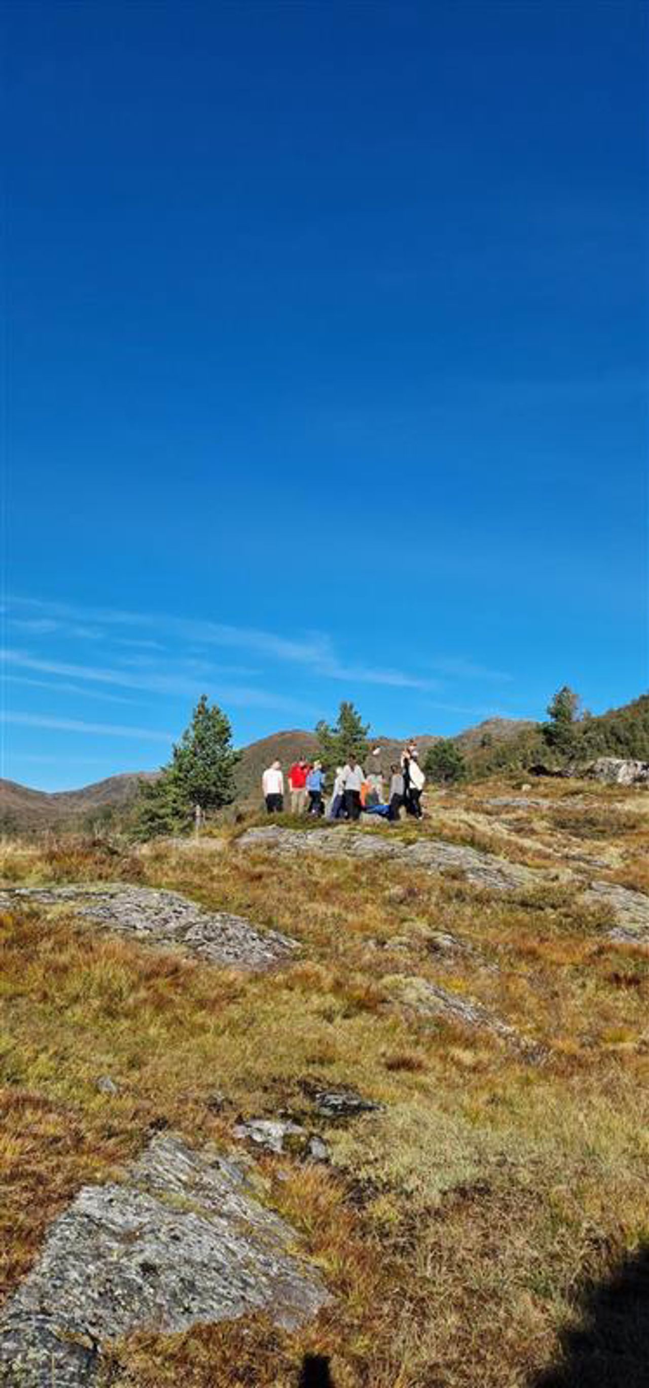 Naturbilde