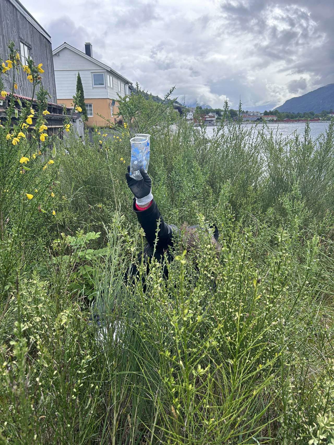 Ei hand med ein plaskopp i stikk opp av høgt gras.